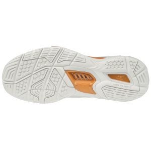 Mizuno Wave Stealth V Παπουτσια Χαντμπολ Γυναικεια - Ασπρα